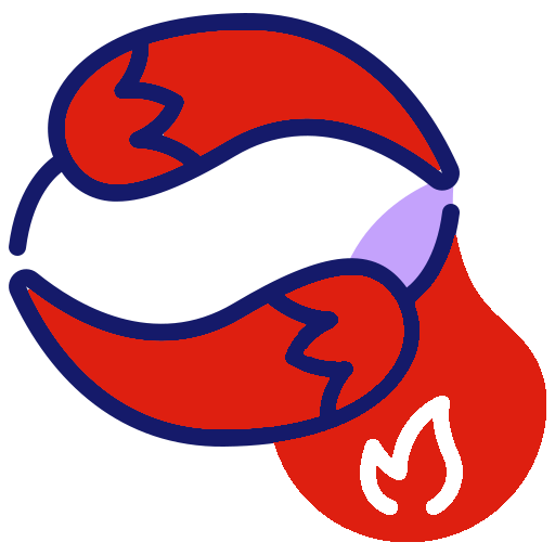 Red Chilli Powder manufacturers in india